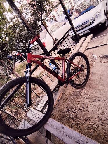 İdman velosipedləri: Yeni Dağ velosipedi Trek, 29" — 5