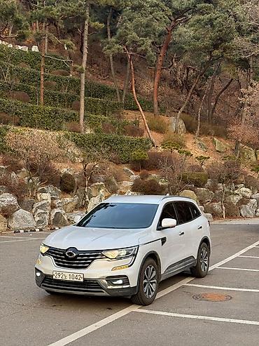 Renault: Renault QM6: 2019 г., 2 л, Автомат, Бензин, Кроссовер — 6