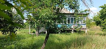 Bağ evlərinin satışı: Göyçay, 100 kv. m, 2 otaqlı, Hovuzsuz — 3