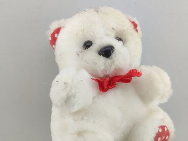 kurtka ze swetrowymi rękawami: Mascot Teddy bear, condition - Good