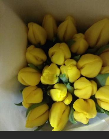 Букеты из живых цветов: Цветы Голландские Тюльпаны Оптом! Тюльпаны вместе с луковицами — 2