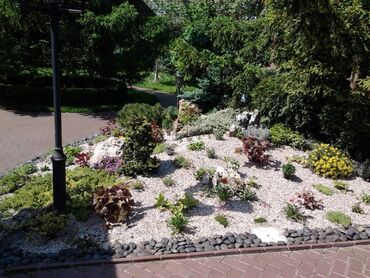 Другие услуги: Обрезка плодовых и декоративных деревьев, винограда,роз и других — 4