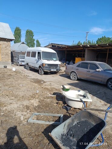 Mercedes-Benz: Mercedes-Benz 220: 1987 г., 3 л, Механика, Дизель, Бус