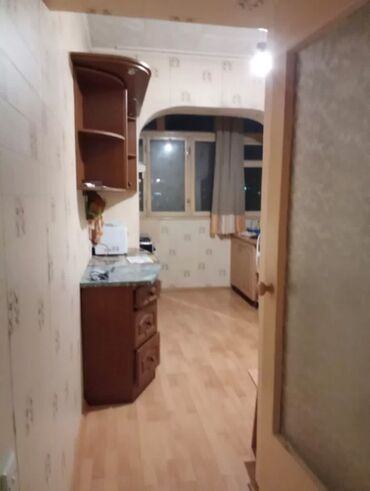 снять квартиру с животными: 3 бөлмө, Менчик ээси, Чогуу жашоо менен, Жарым -жартылай эмереги бар