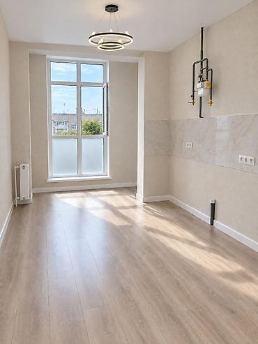 ищу кв бишкек: 1 комната, 47 м², Элитка, 4 этаж, ПСО (под самоотделку) — 8