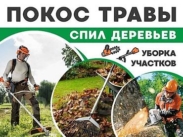 Спил деревьев, заготовка дров: Косим траву Уборка участков Спил деревьев Цена договорная 🤝 Чоп — 1