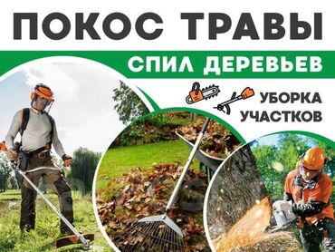 уход за садом: Уборка территории, Уборка двора и сада, Стрижка газона, Уход за деревьями