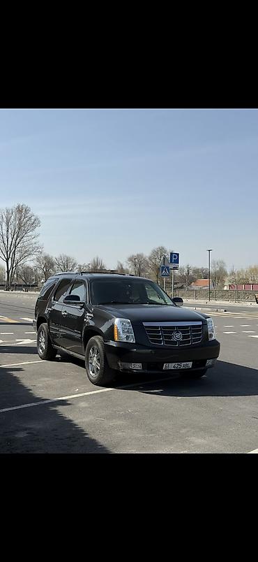 Cadillac Escalade: 2010 г., 6.2 л, Автомат, Газ, Внедорожник