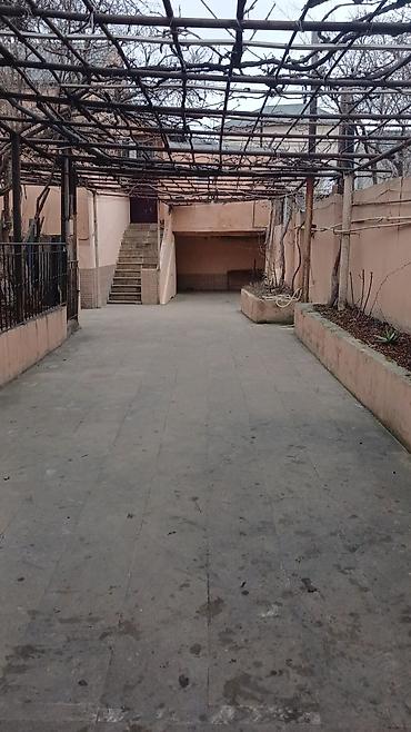 8ci km: 55 kv. m, 2 otaqlı, İşıq — 1