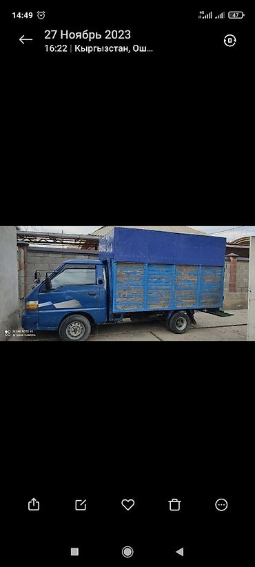 bis vip: Легкий грузовик, Hyundai, Стандарт, 3 т, Новый — 1