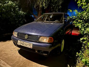 Volkswagen: Volkswagen Polo: 1999 г., 1.6 л, Механика, Бензин, Седан