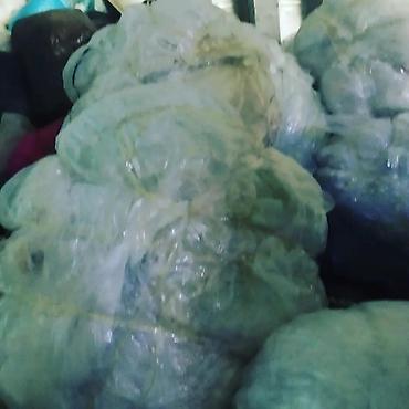 Digər xidmətlər: Təkrar emal üçün karton, kağız, salofan və plastik qəbul edirik — 4