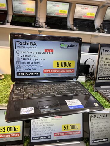 Ноутбуки и нетбуки: Ноутбук, Toshiba, 4 ГБ ОЗУ, Intel Celeron, 14 ", Б/у, Для работы, учебы, память SSD