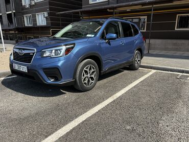 автомобиль субару форестер: Subaru Forester: 2019 г., 2.5 л, Вариатор, Бензин, Кроссовер