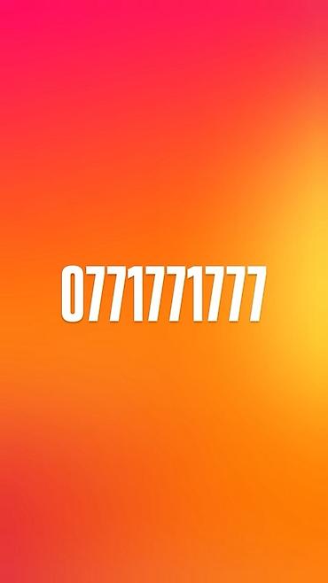 yeni il cekilisleri: Xüsusi göz oxşayan “077 177 17 77” nömrəsi - Yadda qalması asan — 1