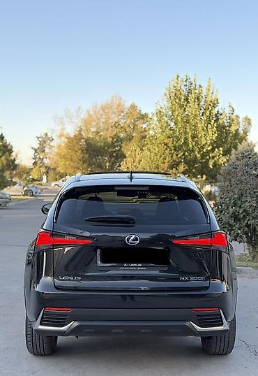 k7 2019: Lexus NX: 2019 г., 2.5 л, Вариатор, Гибрид, Кроссовер — 7