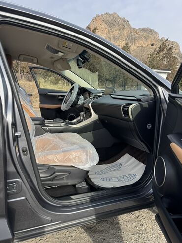 Lexus: Lexus NX: 2017 г., Гибрид, Кроссовер — 9