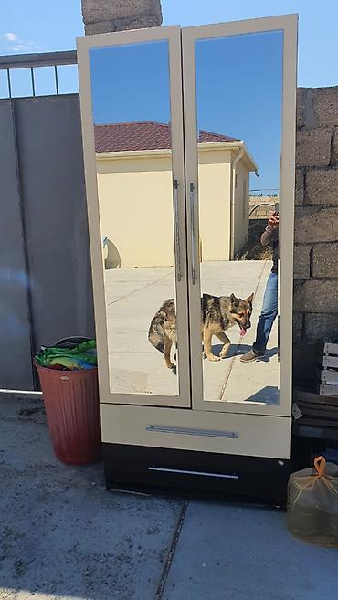 Mebel: İşlənmiş, 2 qapılı, Açılan, Düz dolab — 1