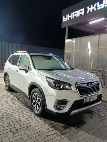 субару форестер 2018: Subaru Forester: 2019 г., 2.5 л, Типтроник, Бензин, Кроссовер