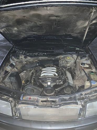 эмблема на ауди: Audi S4: 1994 г., 2.6 л, Механика, Бензин, Седан — 8