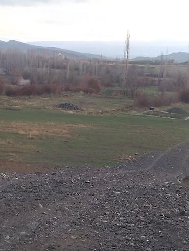 Torpaq sahələrinin satışı: Tikinti — 15