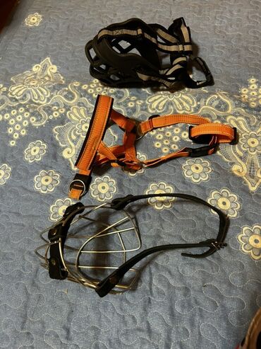 Xaltalar, qayışlar və tasmalar: İt aksesuarları dəsti, tek tek qiymetler qeyd edilib endirim yoxdur — 5