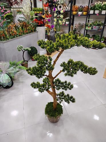 otaq gülləri: Dekorativ süni bonsai ağacı – qapalı məkanlar üçün - Realistik — 2