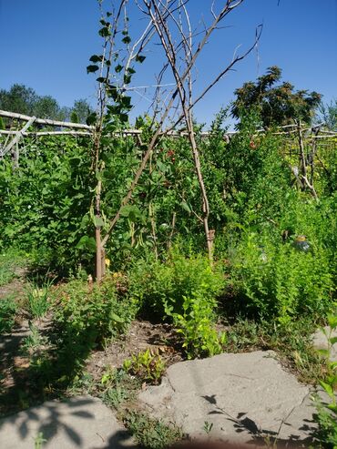 Продажа домов: Дом, 1200 м², 4 комнаты, Собственник, Косметический ремонт — 24