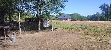 Продажа коттеджей и домов: 5 и более комнат, 95 м², 52 соток, Сокулук, Собственник — 27