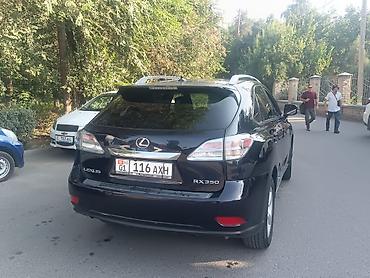 Lexus: Lexus RX: 2010 г. — 5