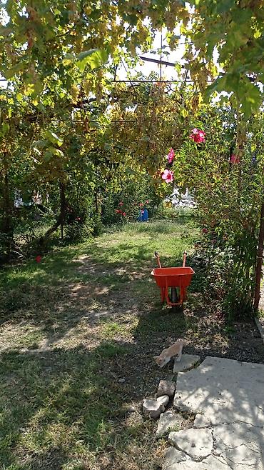 gencede torpaq sahesi satilir: 14 sot, Tikinti, Mülkiyyətçi, Kupça (Çıxarış) — 3