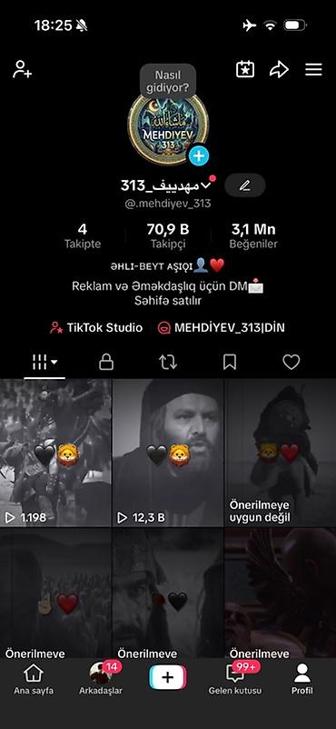 Hazır biznes: Məhsul: TikTok səhifəsi “313_مهدييف✓” (@_mehdiyev_313) Xüsusiyyətlər — 1