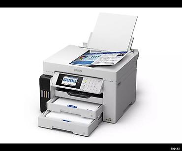 printer a3: Printer Epson EcoTank L18050 C11CK38403 🟢 Rəsmi iş yeri olan və — 2