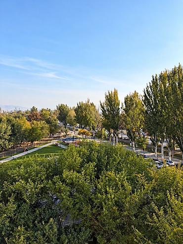 800: 3 комнаты, 62 м², Элитка, 5 этаж, ПСО (под самоотделку) — 7