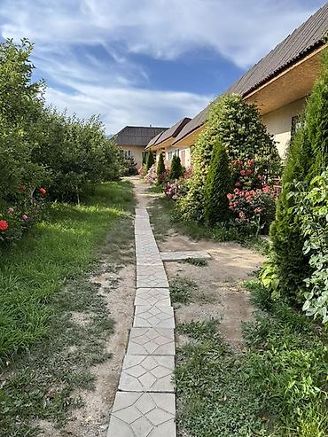 секис дом: Ысык-Көлдө конок үйү, TAMCHY GUEST HOUSE, Тамчы, 10+ орун, Күнүмдүк — 3
