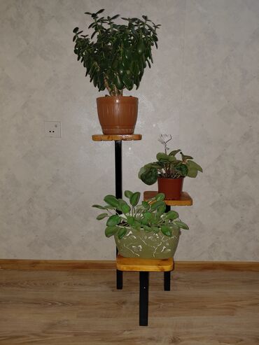 Bitkilər üçün dibçəklər: Taxta bitki stendləri və saksı dayaqları - Material: təbii ağac. Açıq — 8