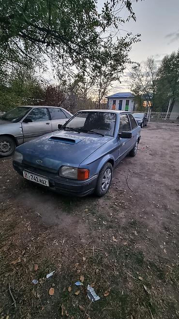 r15 at: Ford Escort: 1986 г., 1.6 л, Механика, Бензин, Хэтчбэк — 1