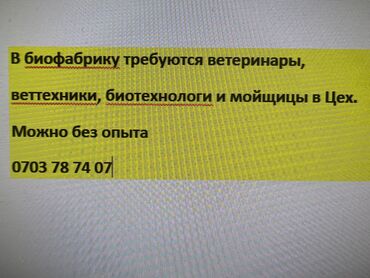 audi s6 52 fsi: Требуются ветеринарные врачи, озранники, биотехнологи, мойщицы