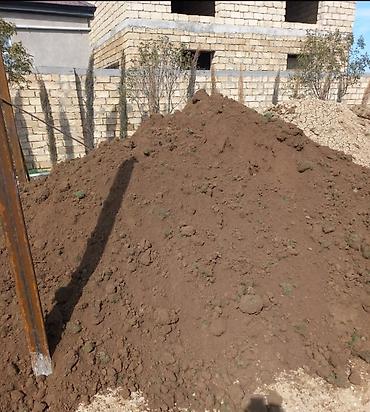 annaberry ev tekstil: Qara torpaq şamaxı İsmayıllı dağlarınan münbut üz qatı 12kb kamazla — 4