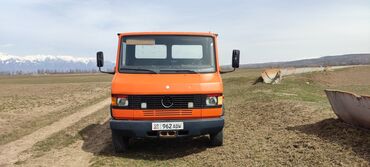 купальник для бассейна большой размер: Легкий грузовик, Mercedes-Benz, Стандарт, Б/у