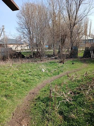 1 bedroom: 41 соток, Для бизнеса, Договор купли-продажи — 6