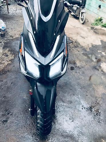 Скутеры: Скутер DUL DUL, черный матовый - Тип: бензиновый скутер/мопед с — 2