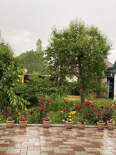 квартира сдает: 🏡 Большой уютный дом для отдыха у озера Сдаётся просторный и уютный — 2