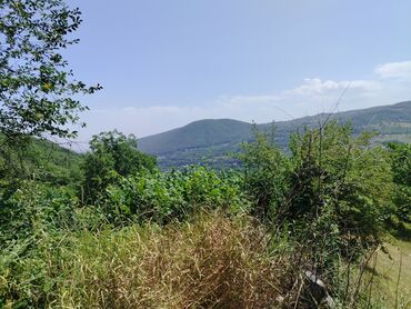 Torpaq sahələrinin satışı: Tikinti — 17