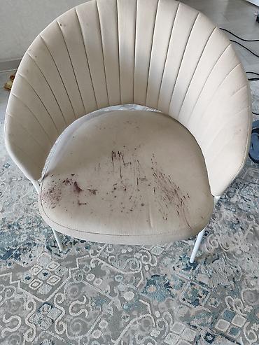 Пылесосы: Пылесос, Karcher, Моющий, Паровая, Влажная, Циклонный фильтр, Контейнер — 19