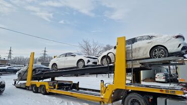 Прицепы и полуприцепы: Прицеп, Автовоз, от 12 т, Б/у — 11