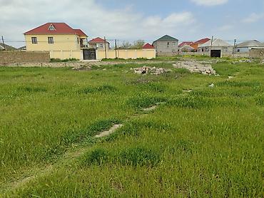 binədə: Kənd təsərrüfatı, Kupça (Çıxarış) — 10