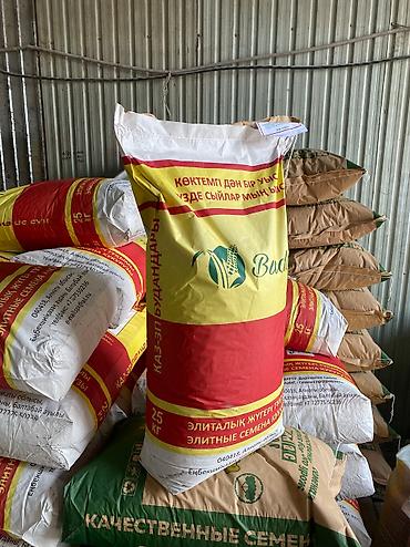 Пшеница: Жугору урук кукуруза 🌽 беде Арпа урук сулуу оптом достовка бар — 13