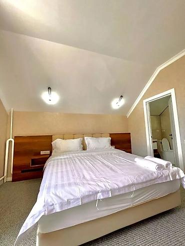 Посуточная аренда домов: 250 м², 5 комнат — 4