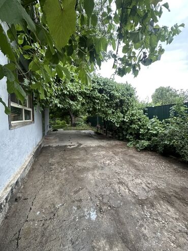 продается орошаемая земля в жайылско районе алтыр будёновка 5 40 гектар цена договорная с довой проблем нету оформление сразу: 6 соток, Красная книга, Тех паспорт, Договор дарения